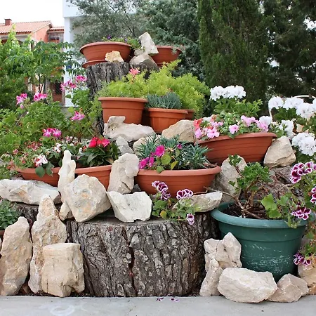 Apartman Barbat 4962a Barbat na Rabu